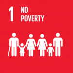 SDG Icon
